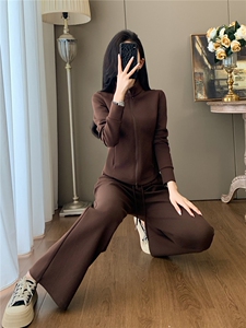 时尚套装女秋季新款洋气减龄修身显瘦半开拉链上衣阔腿长裤两件套图片