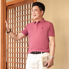 保罗男士短袖T恤翻领半袖薄款2023夏季新款中年商务休闲polo衫男，男装Polo衫，电商B212（原钱塘6029）