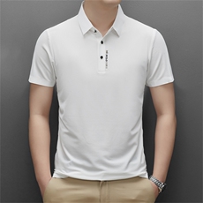 polo衫中年商务休闲男装夏季新款男士短袖T恤半袖翻领宽松上衣服，男装Polo衫，电商B212（原钱塘6029）