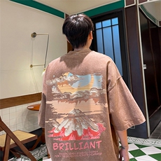水洗咖色