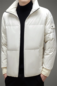BAMJ-8937钱塘2020-2中年男士冬季厚款立领百搭冬季羽绒服P170图片