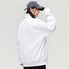 秋季新款基础纯色潮流宽松半高领休闲卫衣情侣款A305-EY-3617-P65，男装卫衣，电商B306