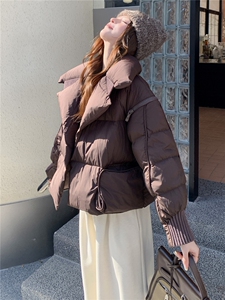 衣秀之家2319款短款大翻领加厚时尚羽绒服冬季保暖外套女图片