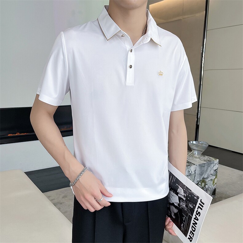 POLO衫男士夏季薄款翻领短袖t恤韩版潮流宽松休闲半袖保罗衫上衣,男装T恤,电商B212（原钱塘6029）