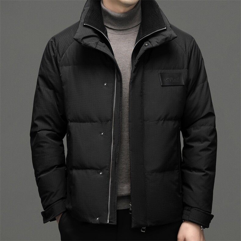 DF8203钱塘2020-2冬季厚款立领时尚休闲简约中年男士羽绒服P350，男装羽绒服，钱塘207-2