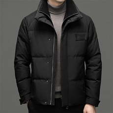 DF8203钱塘2020-2冬季厚款立领时尚休闲简约中年男士羽绒服P350，男装羽绒服，钱塘207-2