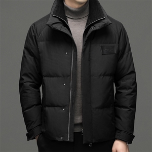 DF8203钱塘2020-2冬季厚款立领时尚休闲简约中年男士羽绒服P350,男装羽绒服,钱塘207-2