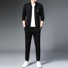 2023秋季新款男装中年男士商务休闲套装长袖立领卫衣薄款两件套，男装休闲套装，电商B212（原钱塘6029）