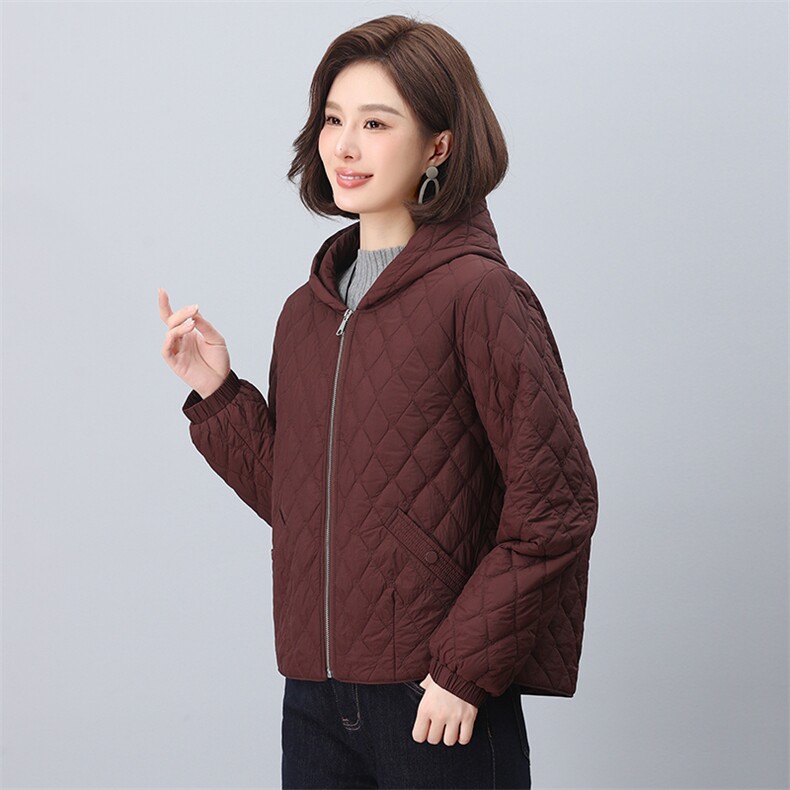 2024年冬季新款棉服时尚休闲连帽加棉短款小棉衣,女装棉衣/棉服,依恋蒂丝