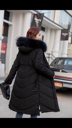 2021冬季新款，修身显瘦加厚 羽绒棉，女装，婉伦