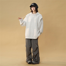 WY5001/P65春装新款高品质不起球连帽个性卫衣男潮流宽松上衣外套，男装卫衣，电商A141