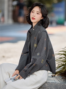 高级灰立领刺绣毛呢外套女短款时尚夹克上衣2026年春季新款夹克衫图片