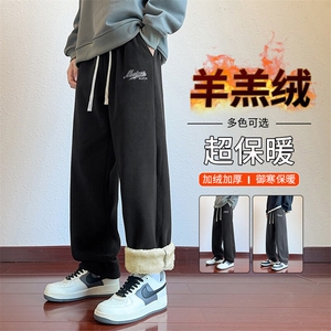 217-2-NK556-P45 冬季新款羊羔绒加绒加厚直筒休闲裤男大码卫裤图片