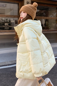 现货  加厚版奶fufu牛角扣连帽羽绒服 2C236-T016-P245-K358图片