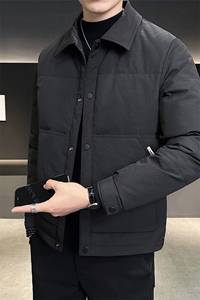 店主风商务休闲翻领轻薄白鸭绒特殊面料羽绒服男图片