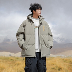 现货抖音得物可供视频三防加厚羽绒连帽棉衣外套面包棉服85553，男装棉衣，电商A486