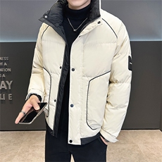 标85白鸭绒高品质冬季休闲立领羽绒服保暖外套男23878-P225，男装羽绒服，电商A413