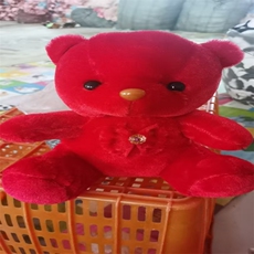 玉文毛绒玩具 红色粘扣坐熊