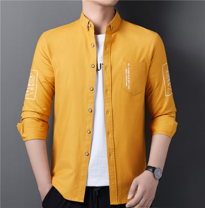 时尚衬衣商务休闲长袖衬衫中年男秋装宽松寸衫上衣BJY8803-P80图片