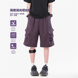 K37374-P48-X68-成分：100锦纶-短裤图片