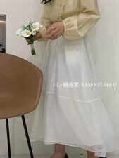 2022夏季新款欧根纱半身裙，女装半身裙，HL+