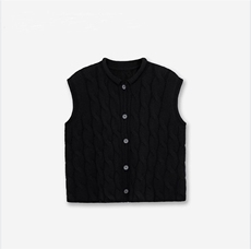 2026年秋季时尚百搭通勤简约休闲开衫马甲，女装马甲，斯尔特羊绒