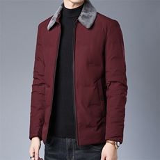 XS98209冬季男士羽绒服外套翻领白鸭绒休闲毛领加厚保暖P240，男装羽绒服，电商B360
