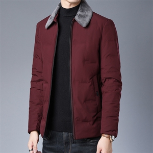 XS98209冬季男士羽绒服外套翻领白鸭绒休闲毛领加厚保暖P240图片