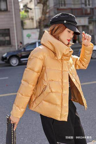 红.炫影 HZHXY103837