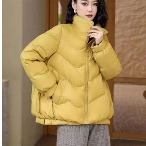 反季新款韩版宽松休闲羽绒服女短款时尚立领白鸭绒冬季两粒扣外套图片