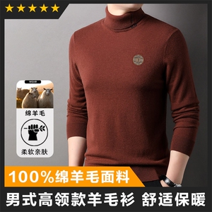 羊毛男士毛衣高领长袖羊毛衫主推图片