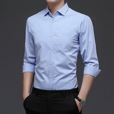 春秋季新款男士长袖衬衫休闲爸爸春装条纹衬衣无痕中年打底寸衫，男装衬衫，电商B212（原钱塘6029）