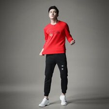 男圆领卫衣刺绣工艺个性潮时尚秋冬男标准码货号6081-1，男装卫衣，钱塘6007(原2006)