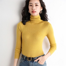 修身纯色高领毛衣女2024秋季新款时尚长袖针织衫，女装针织衫/毛衣，佳绒包芯纱店