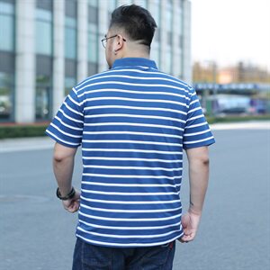 夏季新款棉短袖T恤男士翻领条纹polo衫休闲男装加肥大码5932款图片