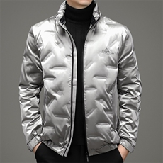 潮流休闲亮面羽绒外套中年男士冬季立领羽绒服SNNYR86R1618-P210，男装羽绒服，电商B212（原钱塘6029）