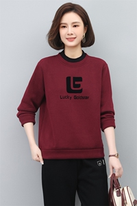 2025年秋季新款加绒加厚半高领卫衣女长袖韩版休闲气质上衣打底衫图片