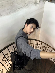 现货~老钱风罗马格意式一片领猫眼宝石扣polo长袖男~C25231批55图片