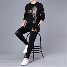 2023年春夏款潮流休闲时尚男士运动长袖套装P135,男装休闲套装,电商D223-1