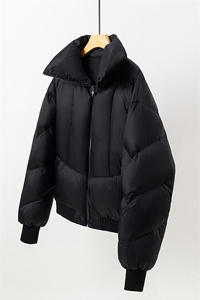 1小众设计盔甲白鸭绒潮流大码M-5XL夹克式羽绒服YR77928P198控298图片