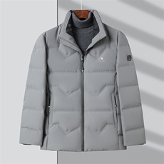 DF8238钱塘2020-2商务百搭简约厚款新款中年男士羽绒服P220，男装羽绒服，钱塘207-2