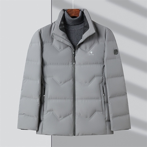 DF8238钱塘2020-2商务百搭简约厚款新款中年男士羽绒服P220图片