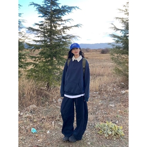 美式套头半拉链卫衣男春秋季潮牌重磅宽松休闲上衣高级感立领外套