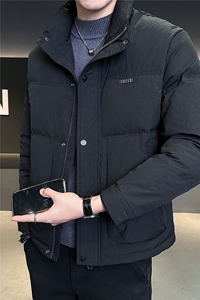 88578-L-4XL-P185标50绒店主风冬季特殊面料立领男士休闲羽绒服图片
