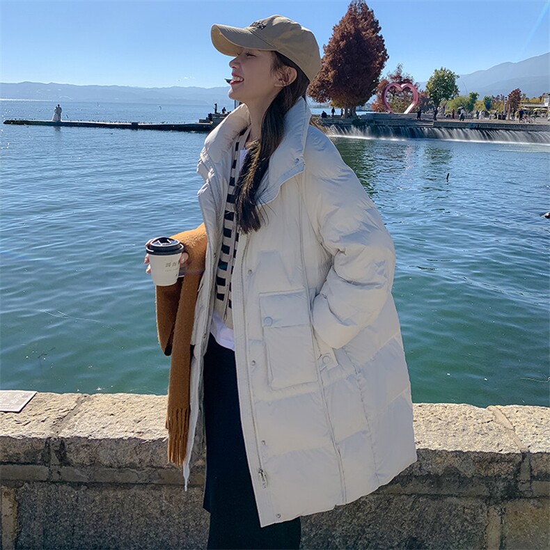 立领羽绒服女中长款2022年冬季新款经典时尚气质百搭连帽保暖外套,女装羽绒服,辉之琳