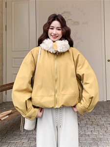 黄色大翻领羊羔毛拼接羽绒服女冬季2025新款小个子短款加厚派克服图片