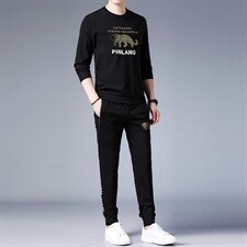 2023春秋季时尚圆领印花套装男休闲运动服中青年长袖T恤两件套男，男装休闲套装，电商B212（原钱塘6029）