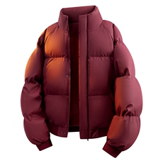 立体新款冬季羽绒立领PU皮棉服棉袄韩版宽松外套A436-2522-P80，男装棉衣，电商A436