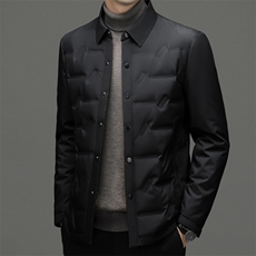 CH22050钱塘2020-2冬季新款商务休闲简约中年男士羽绒服P175，男装羽绒服，钱塘207-2