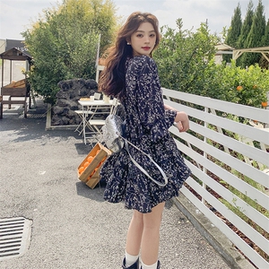 新款春夏季女装女士精品显瘦微胖百搭设计师款连衣裙通用图片